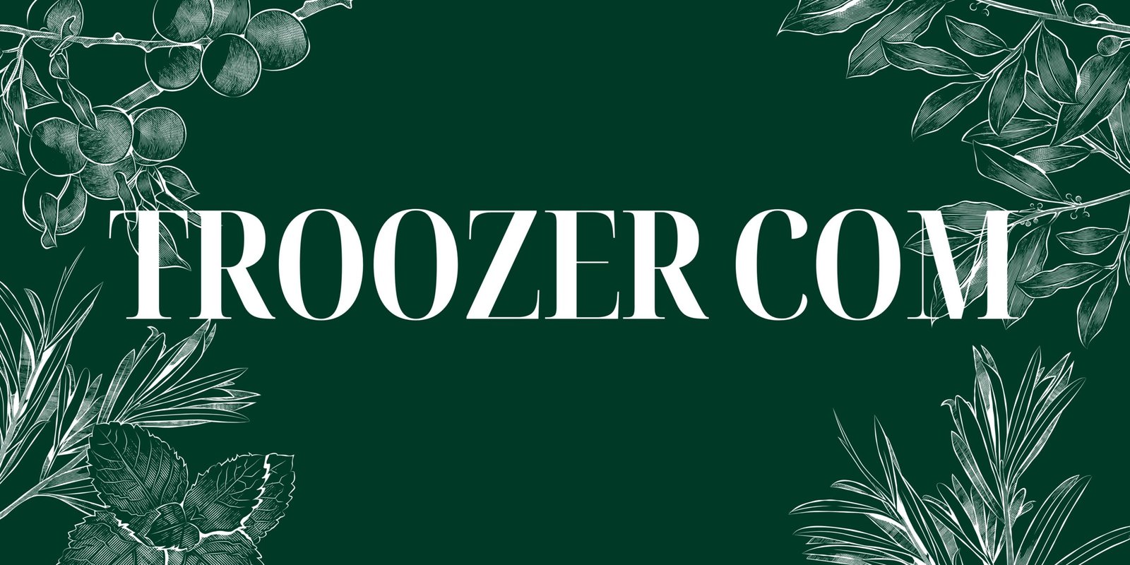 Troozer Com